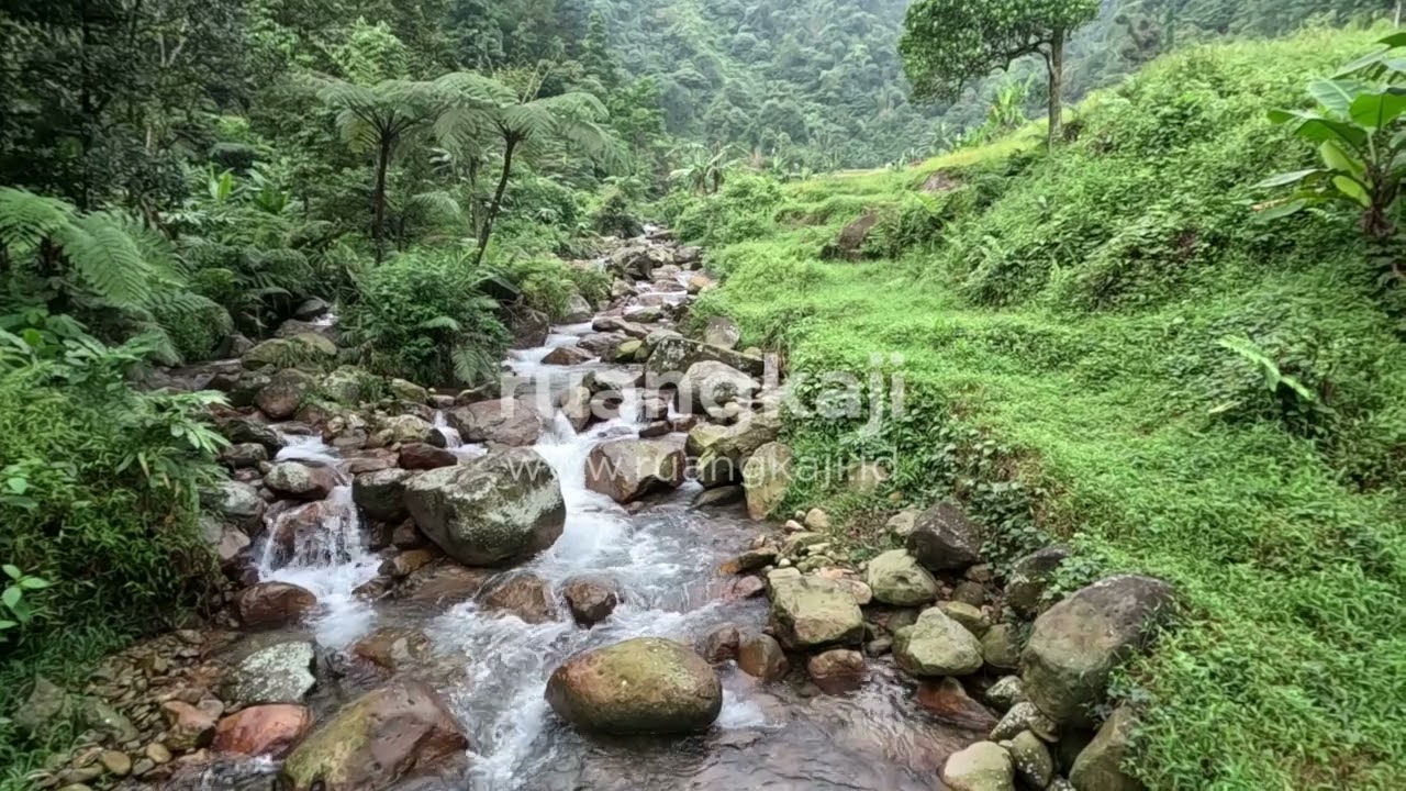 Jernihnya sungai dan hijaunya alam