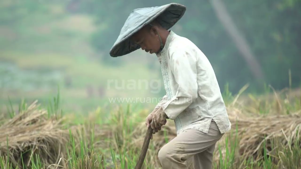 Petani Indonesia di Sawah