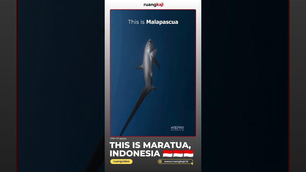 This is Indonesia